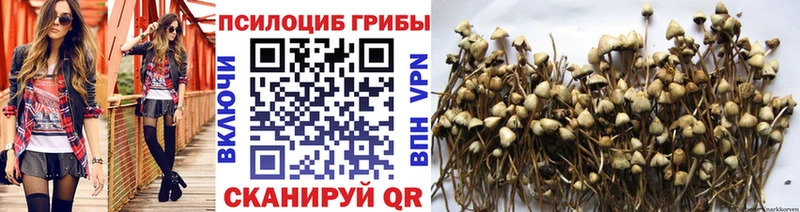 как найти   Катайск  Галлюциногенные грибы мухоморы 